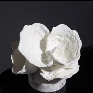White Polystone Coral Sculpture