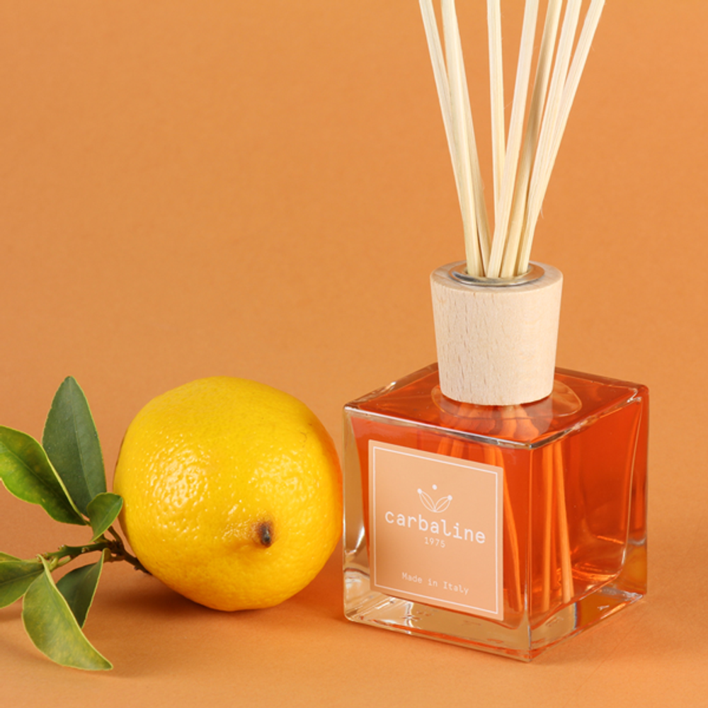 Carbaline 1975 Diffuser - Grape & Blueberries (Full Bottle)